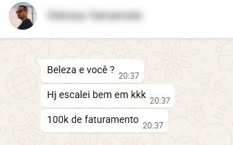 Danielle Reis · 100k · mensagem direta no WhatsApp